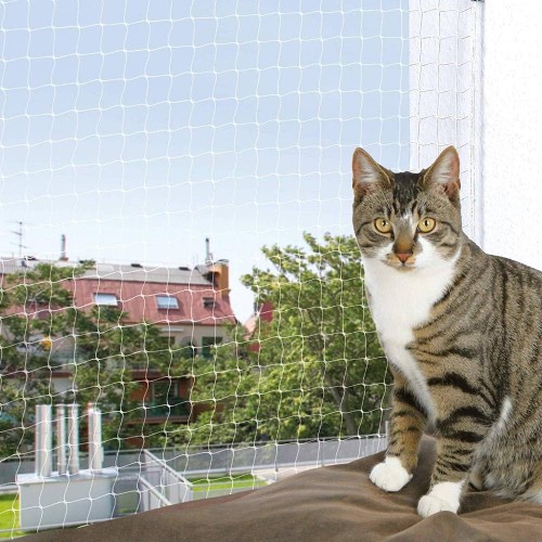 Pencere Kedi Filesi